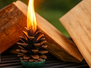 Pine Cone Fire Kit