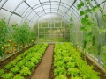 4x4 m AGRONOM 4mm