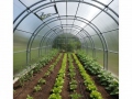 4x4 m AGRONOM 4mm