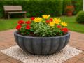Blomkruka MARGARITE M