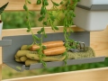 Hylla GreenWALL