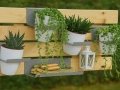 Designelement GreenWALL
