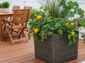 Цветочный горшок TEAK S