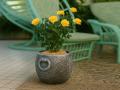 Blomkruka STONE S