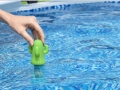 Pooltermometer Kaktus