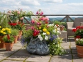 Blomkruka BAG Silver