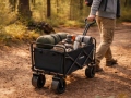 Bollerwagen 80 l 360°