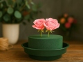 Blommigt skum CONTENITO Ø 12/8cm