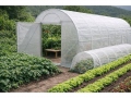 Folieväxthus ATLAS 3x8 m