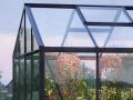 Växthus Classic'235x310