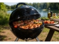 Holzkohlegrill FireBall-31