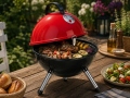 Holzkohlegrill FireBall-31