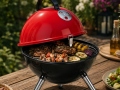 Holzkohlegrill FireBall-31