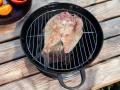 BBQ rökare & grillar 2in1