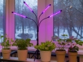 Växtlampa 4x20 LED