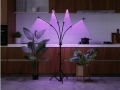 Växtlampa 4x20 LED