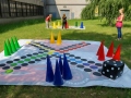 Trädgårdsspel Richu Rachu 2x2m