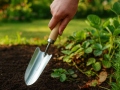 Planteringsspade Esschert
