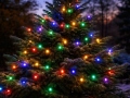 LED-ljusslinga GRÖN MULTI-240