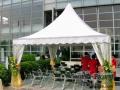 PAGODA PAG6/250 6x6 m