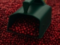 Bärplockare BerryMaster