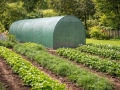 Folieväxthus NOVA 3x6 m