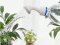 Sprinkler för kapsylflaska