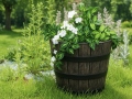 Blomkruka POLKA M