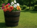 Blomkruka POLKA M