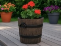 Blomkruka POLKA M