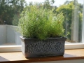 Blumentopf PLANIKA S