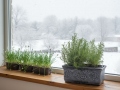 Blumentopf PLANIKA S