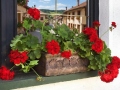 Blumentopf PLANIKA S
