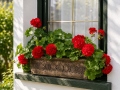 Flower pots PLANIKA XL
