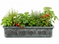 Flower pots PLANIKA XL