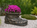 Blomkruka SHOE