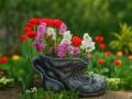 Blomkruka SHOE