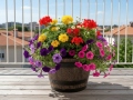 Flower pots MUSISALY