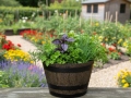 Flower pots MUSISALY