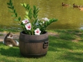 Blomkruka BOLERO S