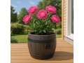 Blomkruka BOLERO S