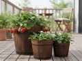 Flower pots ANTIQUE Ø11