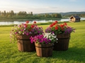 Flower pots ANTIQUE Ø11