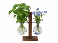 Glass Vase with Wooden Stand