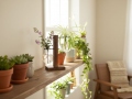 Glass Vase with Wooden Stand