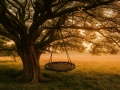 Stork's Nest Swing Nesty