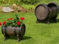 Blomkruka SALSA S