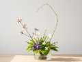 Anzuchtsystem Ikebana S