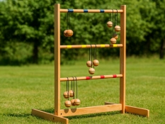 Уличная игра Spin Ladder