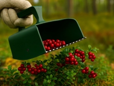 Ierīce ogu vākšanai BerryMaster